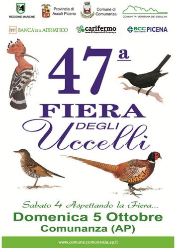 thumb FIERA-UCCELLI-47c